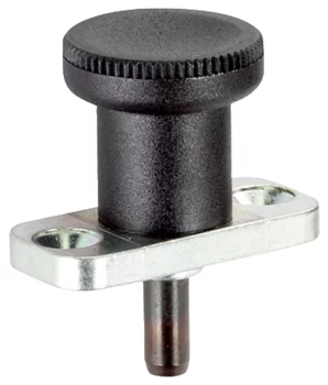                                             Index Plungers with mounting flange
 IM0004273 Foto
